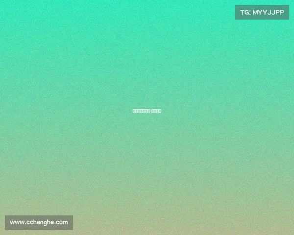 德杯之后的赛事-德杯时间